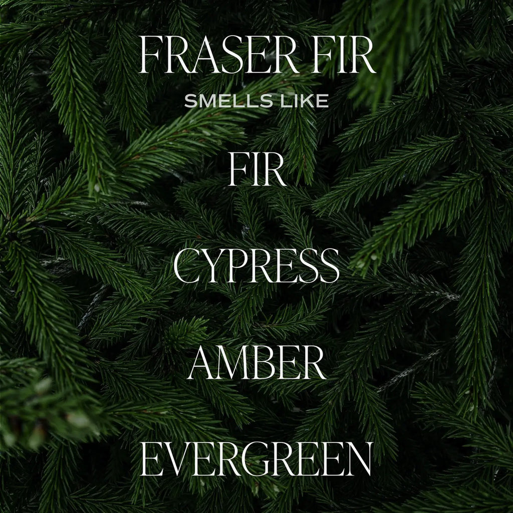 Fraser Fir Soy Candle